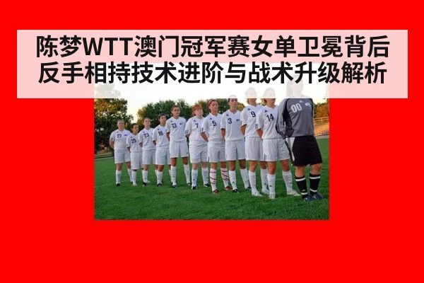 陈梦WTT澳门冠军赛女单卫冕背后反手相持技术进阶与战术升级解析